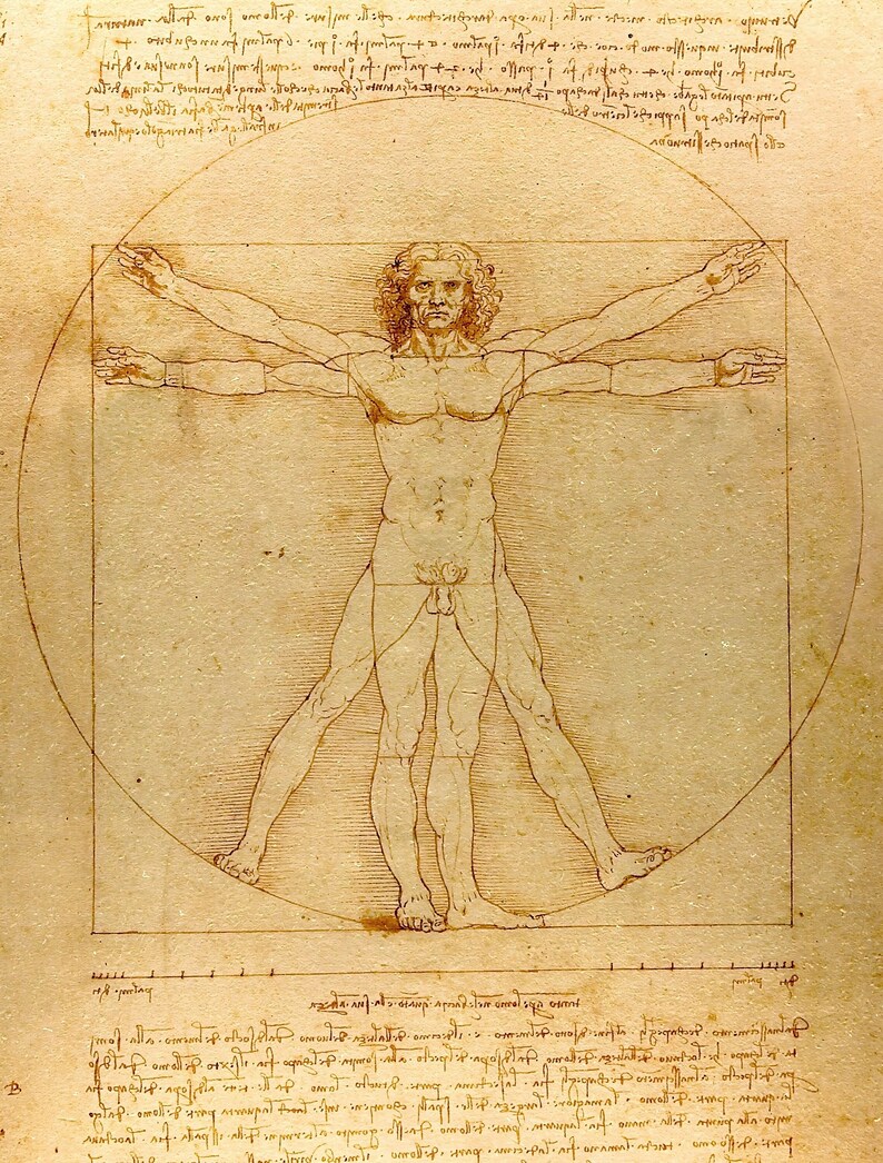 Pode incluir: Desenho a s&eacute;pia do Homem Vitruviano, um estudo das propor&ccedil;&otilde;es humanas de Leonardo da Vinci. O homem &eacute; retratado dentro de um quadrado e um c&iacute;rculo, com os bra&ccedil;os e as pernas estendidos. O desenho &eacute; rodeado por texto manuscrito.