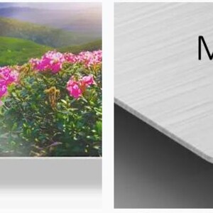 a book with a picture of flowers on it