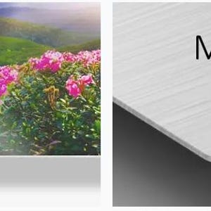 a book with a picture of flowers on it