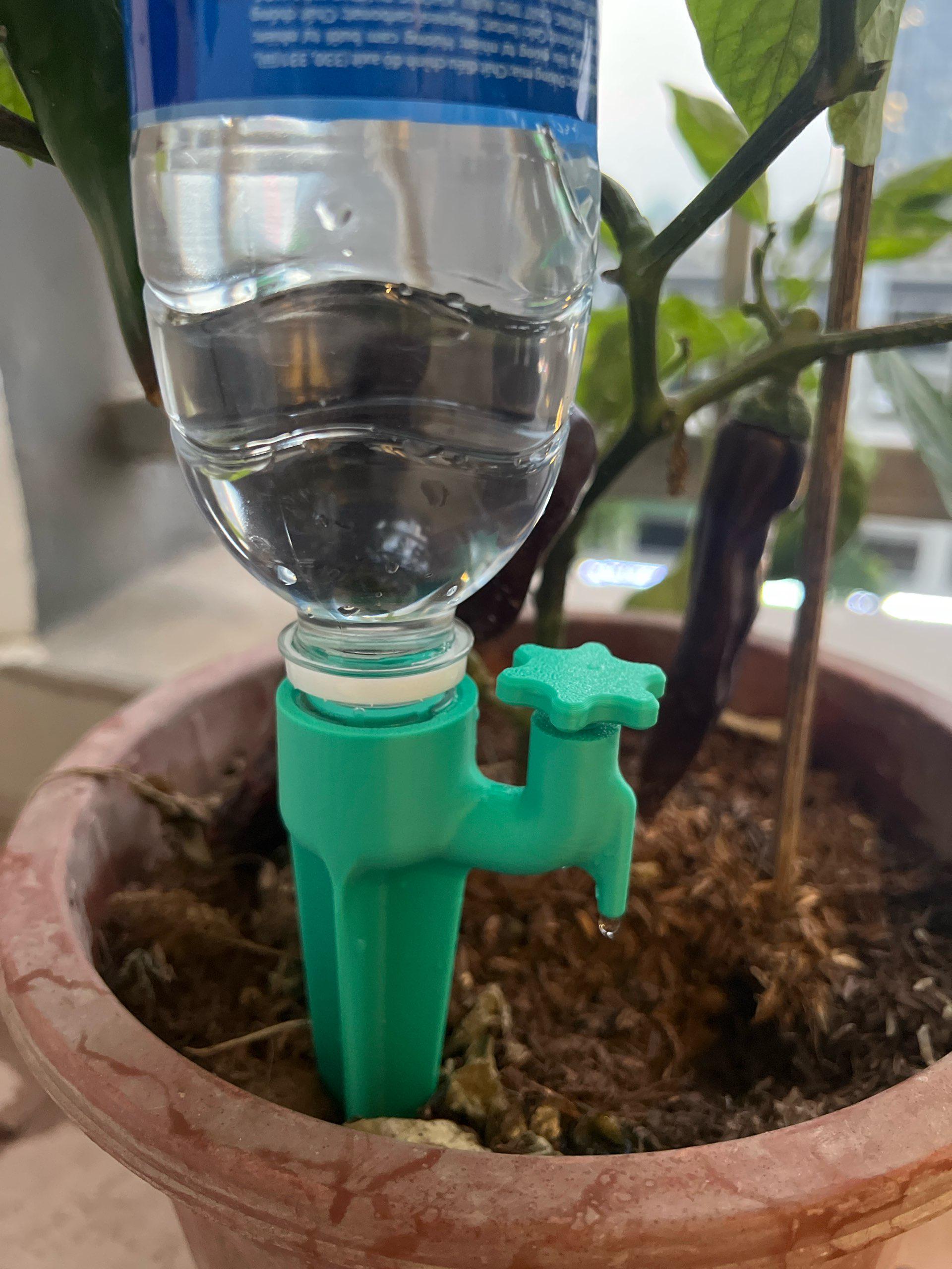 Water Balls for Plants - Etsy