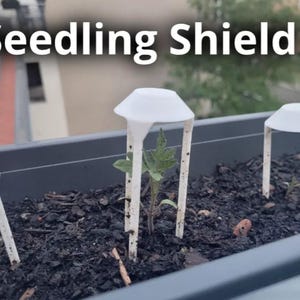 Peut inclure: Des protections de semis en plastique blanc protègent les jeunes plants dans un pot noir. Les protections ont une forme de dôme et sont soutenues par trois pieds. Le texte "Seedling Shield" est visible en haut de l'image.
