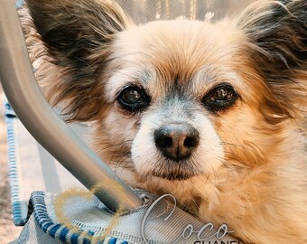 Coco