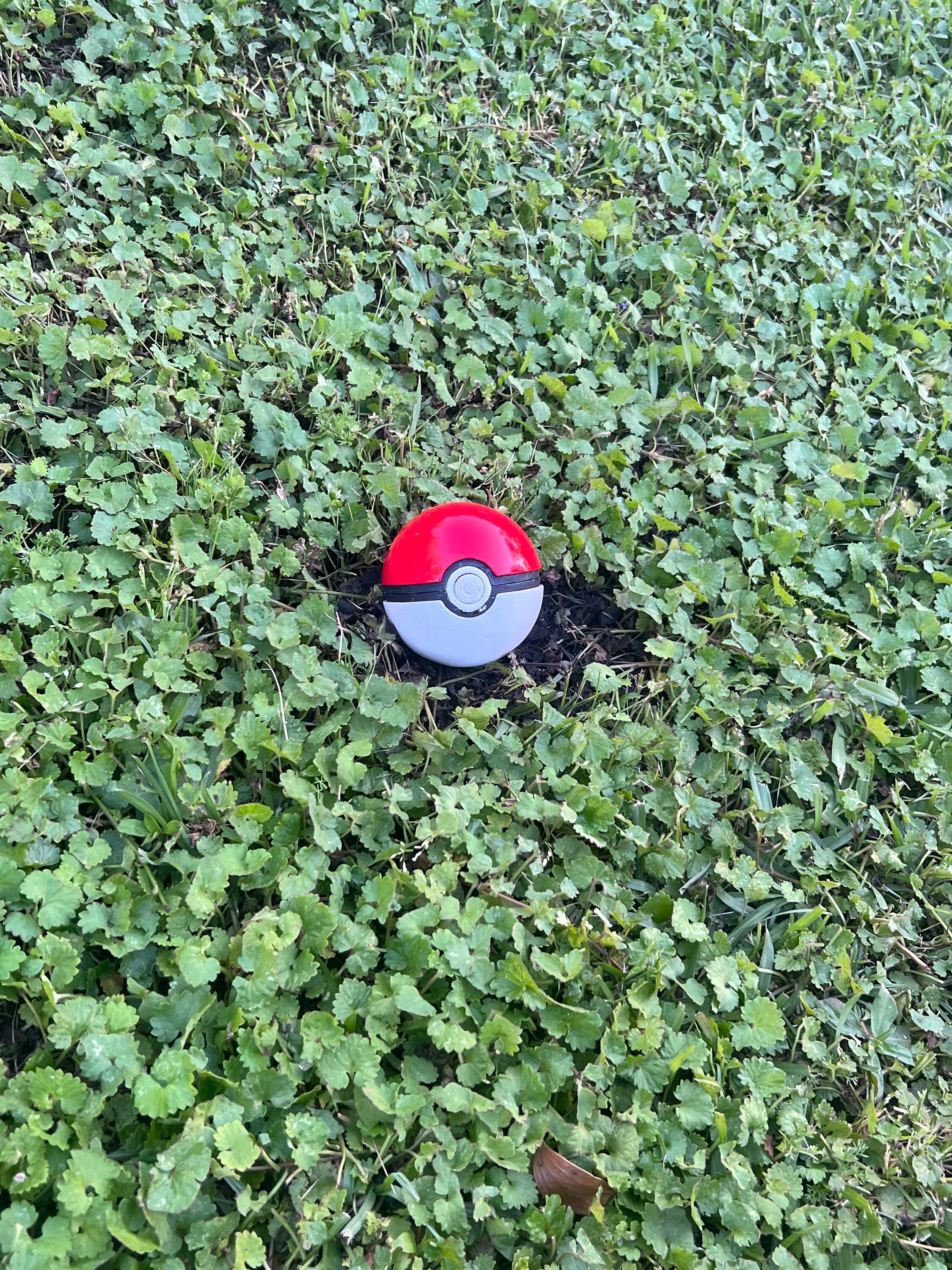 Pokeball free Shipping, Custom Colors, Custom Engraving / Custom ...