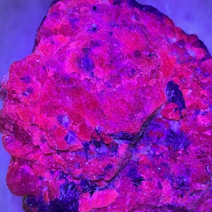 May include: A close-up of a fluorescent mineral specimen. The rock has a rough, textured surface with vibrant red and purple hues. Darker blue and black patches are interspersed throughout the rock, creating a striking contrast. The mineral glows under UV light.