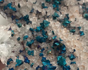 May include: Close-up of a cluster of white quartz crystals with embedded blue and iridescent chalcopyrite crystals.