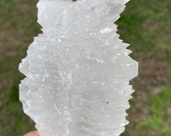 Unique fish tail selenite raw crystal