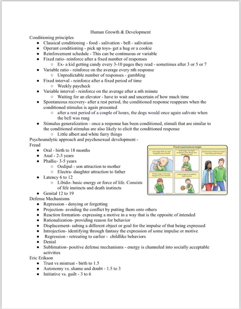 NCE Basics Study Guide - Etsy