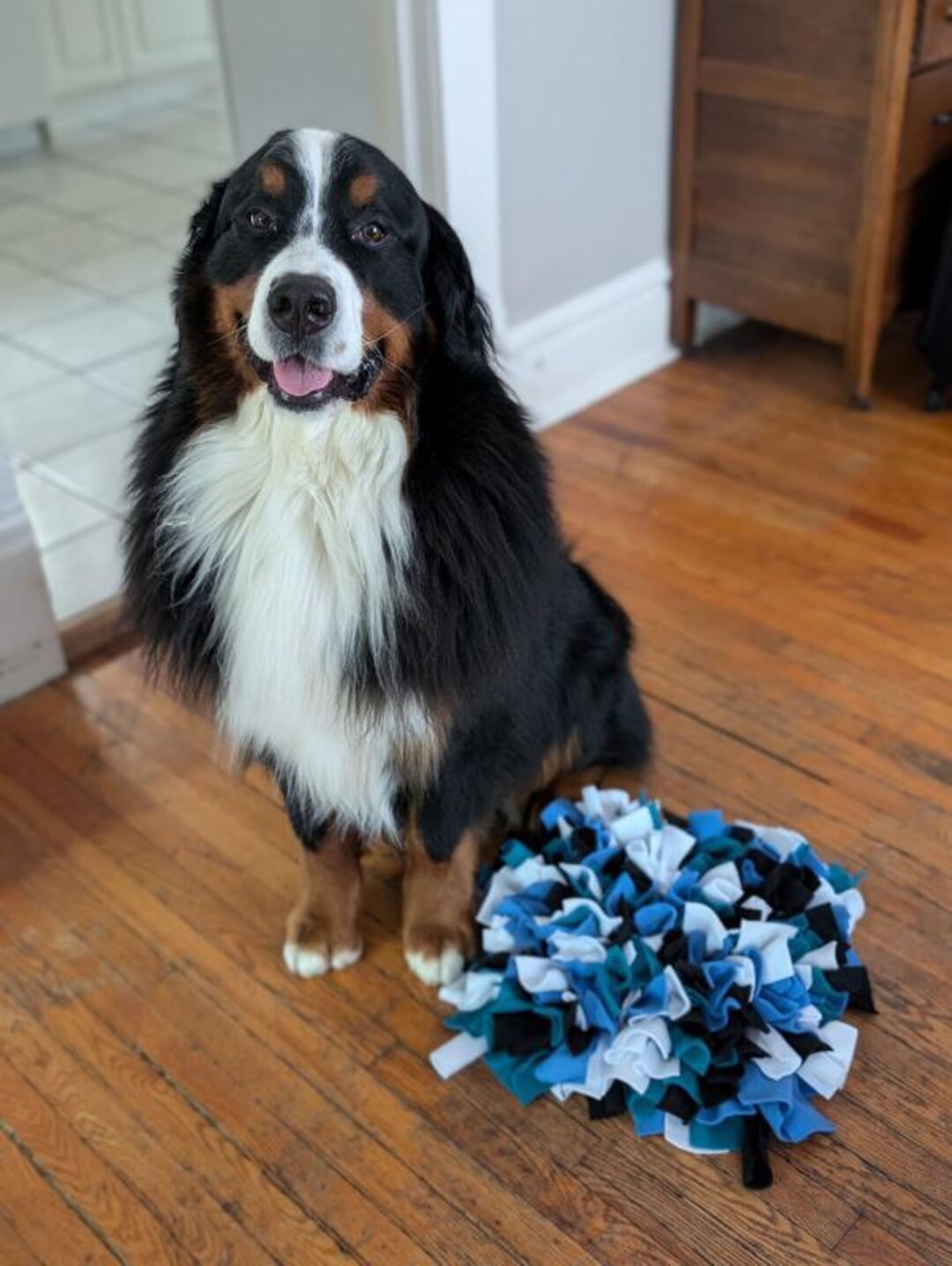Cartoon Snuffle Mat Snuffle Mats - Etsy