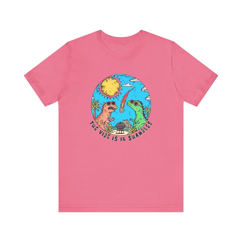 The Vibe ist in Shambles Shirt, lustigem Meme Shirt, 90er Jahre Y2K Dinosaurier Retro Design T-Shirt Charity Pink
