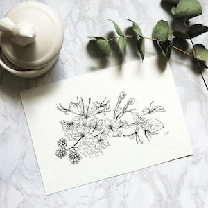 May include: Black and white line drawing of a floral bouquet with blackberries. The drawing is on a white background.