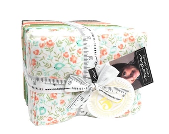 ABLOOM Fat Quarter Bundle Precuts by Corey Yoder