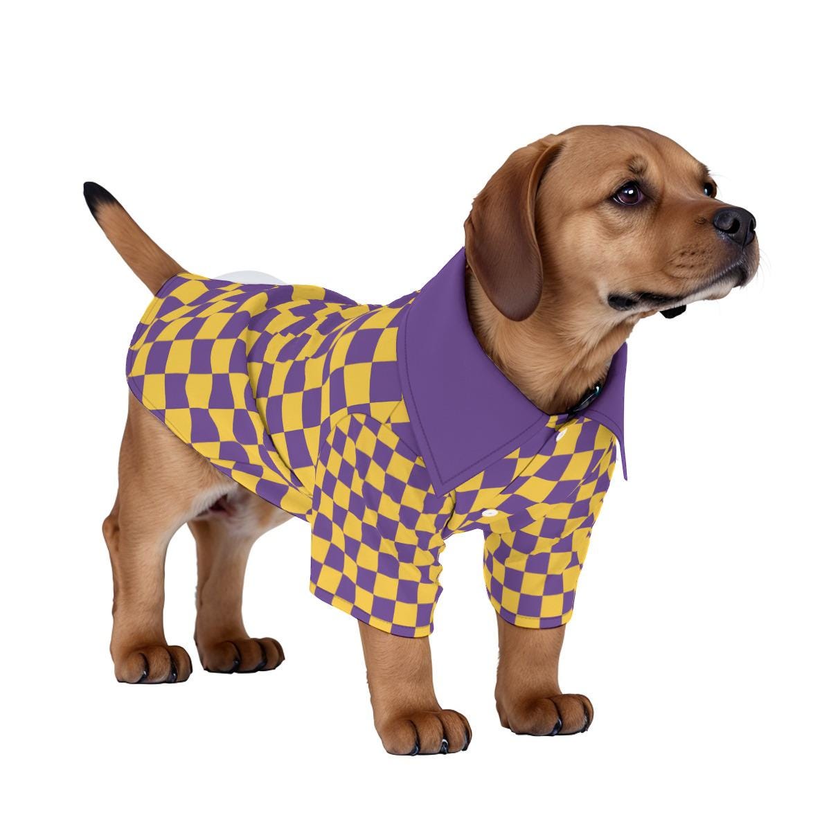 Lsu Pet Clothing Etsy