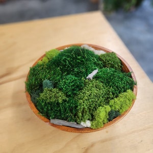 Preserved Moss Bowl Centerpiece