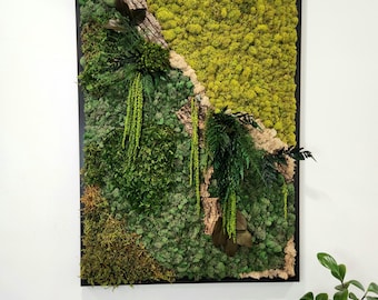 Moss Art with bark and foliage- 24x36