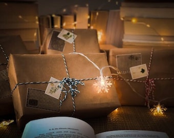 Blind Date with a Book based on YOUR Personality and Interests, Book Box, Mystery Book, A Book Hand selected just for you