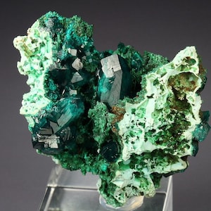 Dioptase with Shattuckite & Malachite