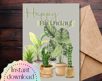 Pot Plant Birthday Card with 4 Styles