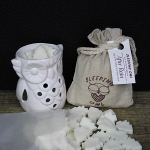Handmade soy wax melts with fragrance oil｜Vegan wax melts｜~72g (2.5oz)｜Gifts for him/her｜Gift for mom｜In to the Woods Collection