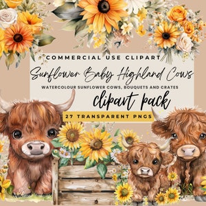 Watercolor Sunflower Highland Cows Clipart - Baby Cow Bundle - Commercial Use - Digital Download - Spring Flowers - PNG