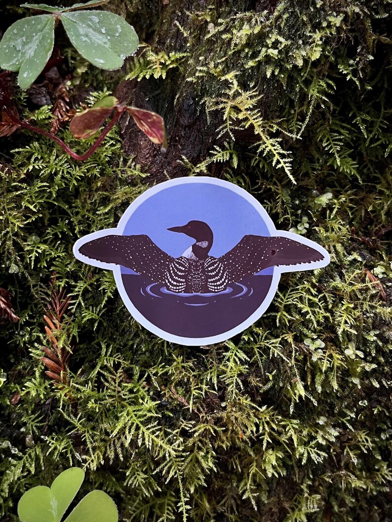 Common Loon | Waterproof Vinyl Sticker - Etsy