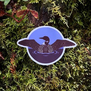 Common Loon | Waterproof Vinyl Sticker