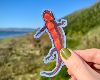 May include: A sticker featuring a newt with a red and brown body, outlined in blue. The sticker is held up against a backdrop of green grass, a blue sky, and a body of water.