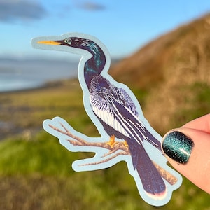 Peut inclure: Autocollant représentant un anhinga, un oiseau aquatique, perché sur une branche. L'oiseau a des plumes bleu foncé et blanches, un bec jaune, et est posé sur un fond bleu clair. L'autocollant est tenu par une main avec du vernis à ongles vert pailleté.
