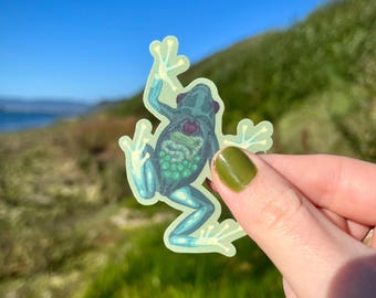Puede incluir: Una pegatina que representa una rana estilizada con órganos internos visibles. La rana es principalmente verde azulado con un contorno verde claro y detalles internos en verde y rojo. El fondo es una escena borrosa al aire libre con cielo azul y hierba verde.