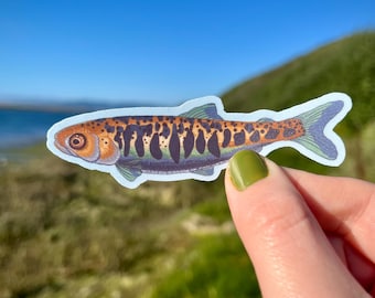 Salmon Parr / Adhesivo de vinilo impermeable