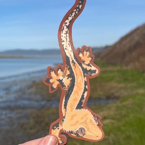 Haubengecko | Wasserfester Vinyl-Aufkleber
