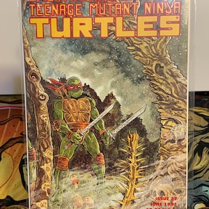 teenage mutant ninja turtles #37