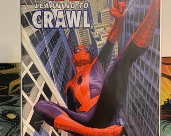 El asombroso hombre araña aprendiendo a gatear #1.1