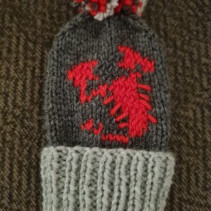 May include: Grey knitted beanie with a red dragon design and a white pom pom on top.