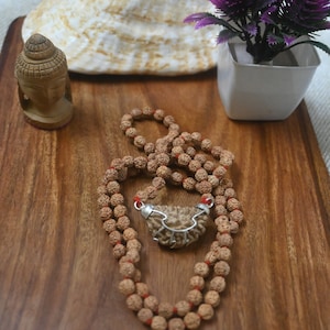 Natural one face rudraksha mala, Rudraksha mala with one mukhi guru bead, Siddha mala, Prayer beads, Holy beads, Lord shiva.