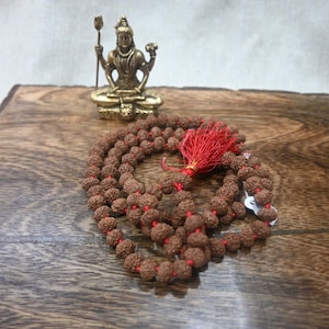 9 Face Rudraksha Mala: Natural Prayer Beads for Durga (10mm, 108+1 Beads)