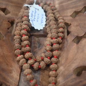 Natural 10 face rudraksha mala with japa bag, 8mm, 108+1 beads, Prayer beads, Rudraksha Japa mala, Rudraksha for Lord Vishnu, Lord Shiva.