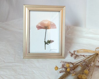 Mohn, Trockenblumenkunst, Bohostyle, Blumenbild aus echter gepresster Blume. Herbarium. Vintage Deko.