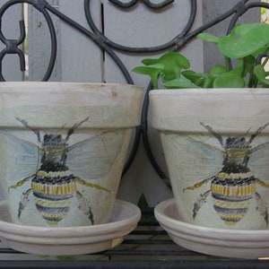 Puede incluir: Dos macetas de cerámica blanca con ilustraciones de abejas. Las macetas están en un estante de metal negro con una planta verde en cada maceta.