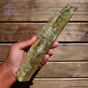 May include: A large, translucent, yellow-green crystal with striations. The crystal is about 15 inches long and has a rough, natural texture.