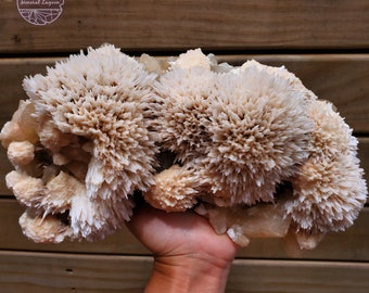 Scolecite and Stilbite cluster, 2466g