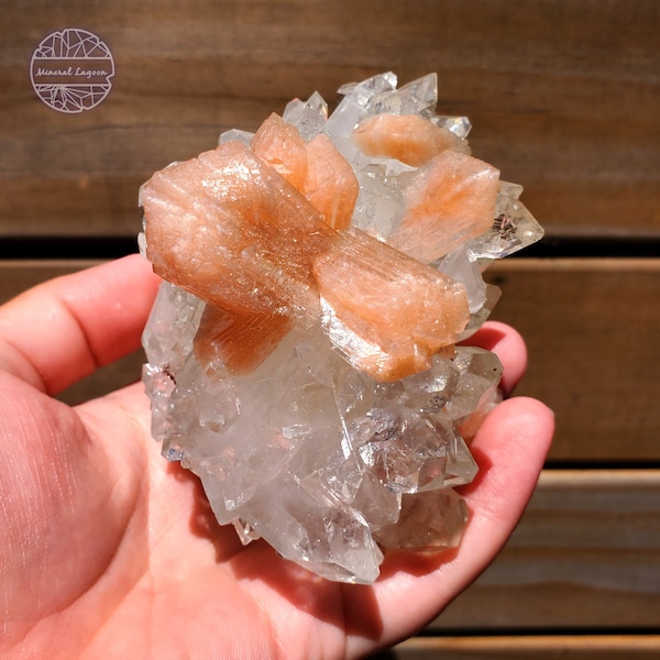 Apophyllite Crystals with Stilbite Amazing Large Specimen Shiny Cluster Indian Glittering Mineral Specimen Rare