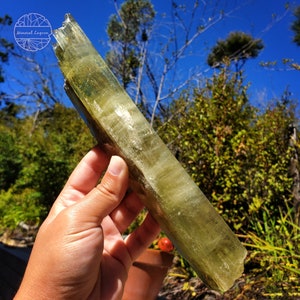 May include: A large, light green, translucent crystal with a striated texture. The crystal is shaped like a long, thin prism and is held in a hand against a background of green foliage and a blue sky.