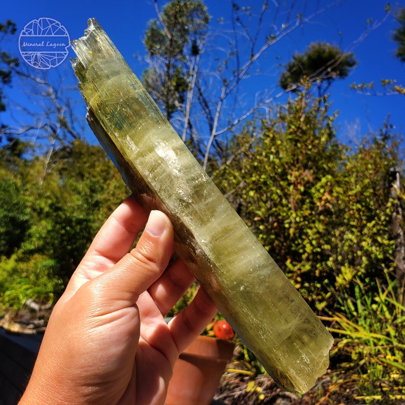 May include: A large, light green, translucent crystal with a striated texture. The crystal is shaped like a long, thin prism and is held in a hand against a background of green foliage and a blue sky.