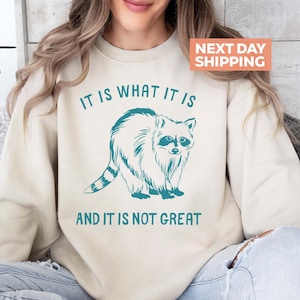 It Is What It Is And It Is Not Great Sweatshirt, Vintage Raccoon Sweater, Mental Health Sweatshirt, Funny Sweatshirt Women, Sarcastic Shirt