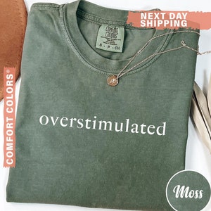 Comfort Colors® Overstimulated Shirt for Mom, Cowboy Frog Shirt, Unhinged T-Shirt, Weirdcore Clothing, Gen Z Shirt, Weird Stuff Funny Tee