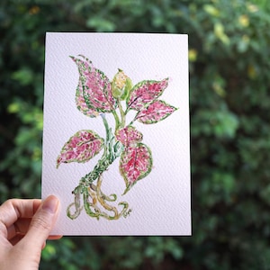 Dipinto ad acquerello di Aglaonema, opera d'arte originale, decorazione murale con piante d'appartamento, illustrazione di piante