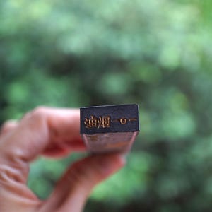 May include: A rectangular, dark-colored ink stick with gold lettering. The ink stick is held in a hand against a blurred green background. The gold lettering appears to be Chinese characters.