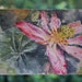 see more listings in the Flower Painting  section