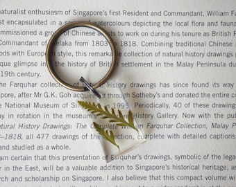 Handmade Pressed Fern Resin Keychain, Gift For Art Lover, Nature-inspired Christmas Gift