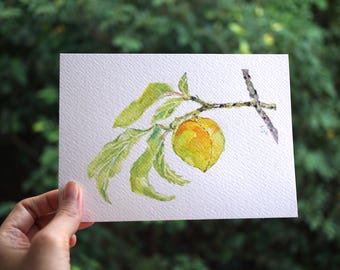 7x5 Art, Gift For Art Lover, Fruit Painting, Kitchen Decor